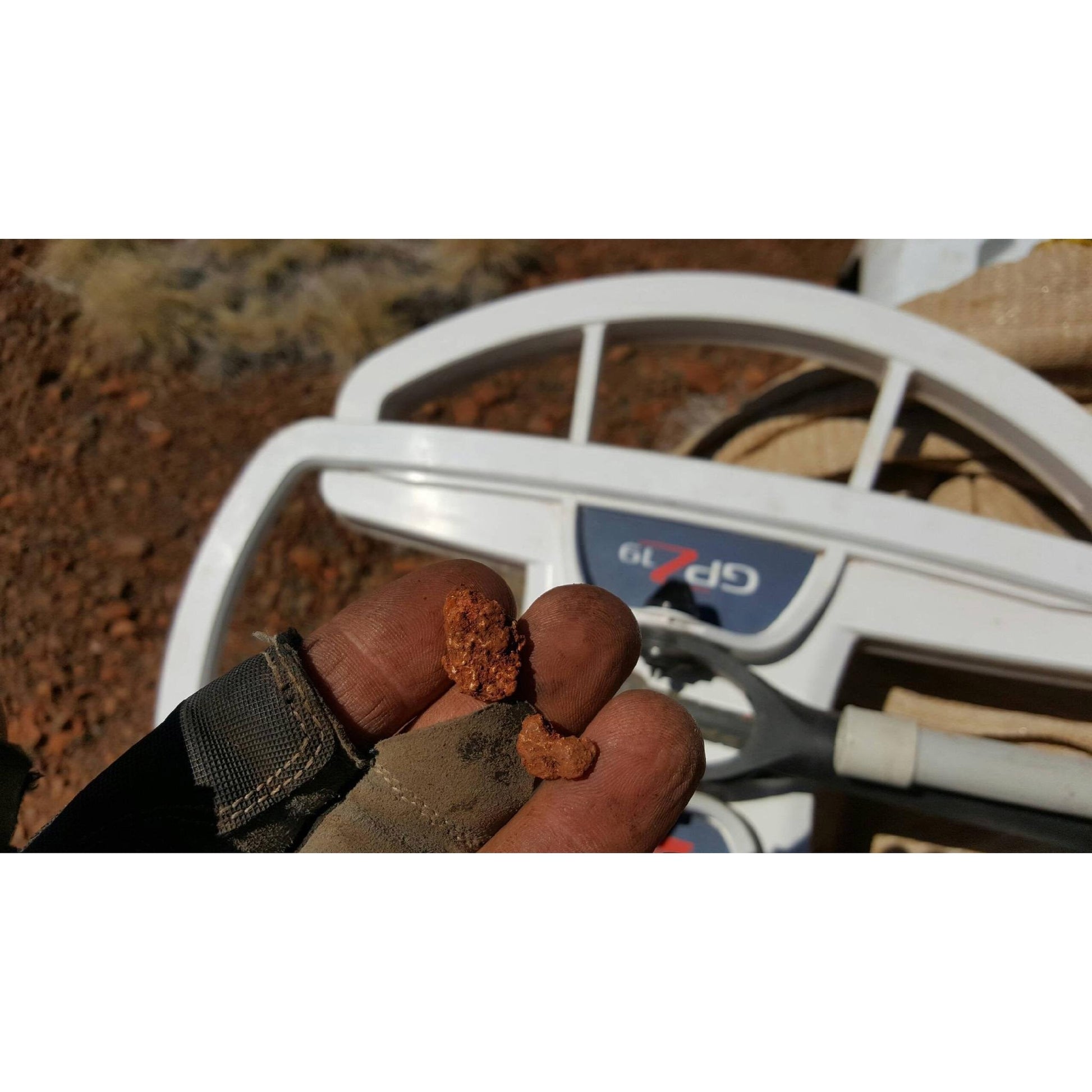 Minelab GPZ 19 Search Coil For Minelab GPZ 7000